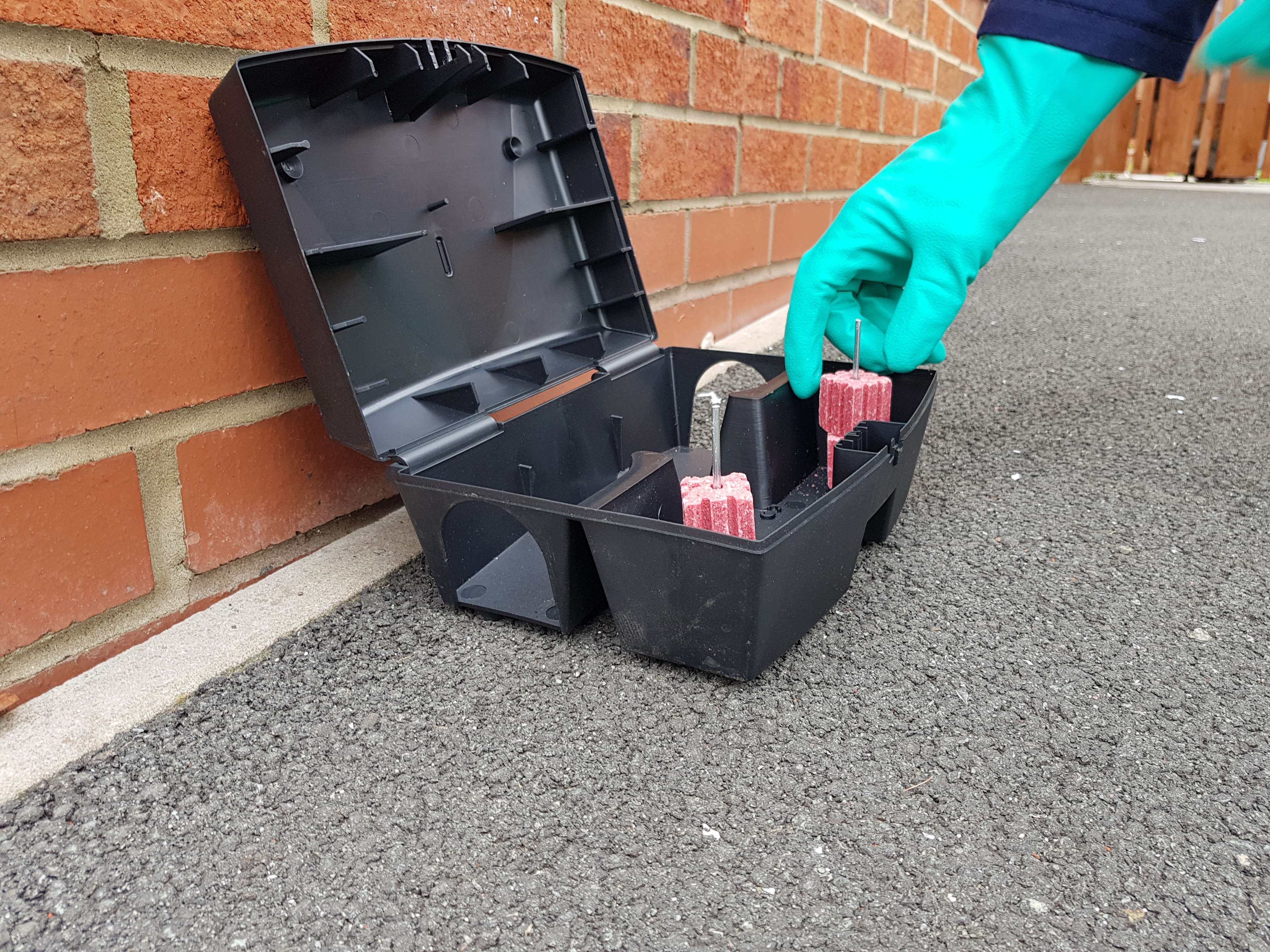 Rodent Control realistic photo